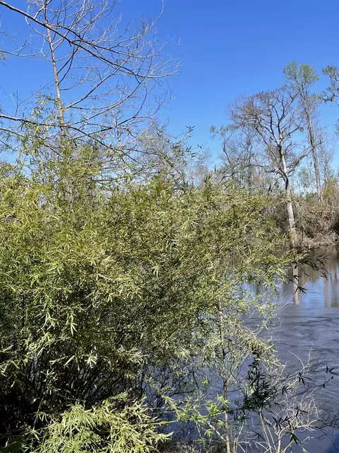 Vacant NE Chervil Drive, Lee, FL 32059 photo 11