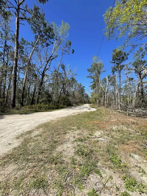 Vacant NE Chervil Drive, Lee, FL 32059 photo 4