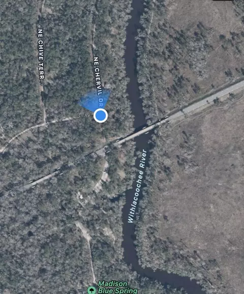 Vacant NE Chervil Drive, Lee, FL 32059 photo 13