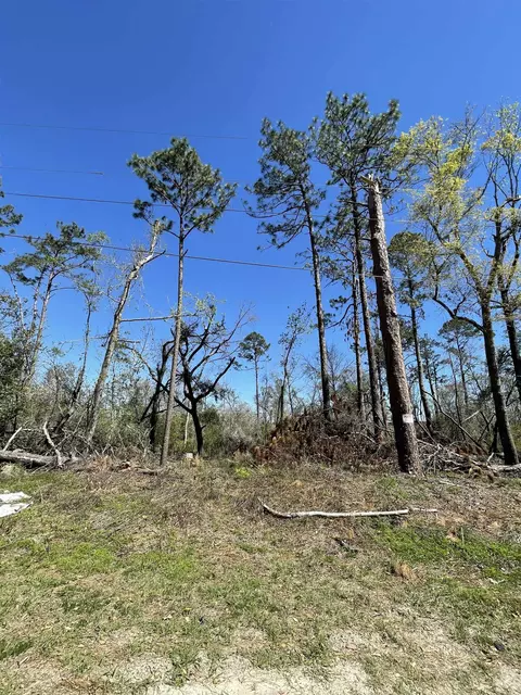 Vacant NE Chervil Drive, Lee, FL 32059 photo 2