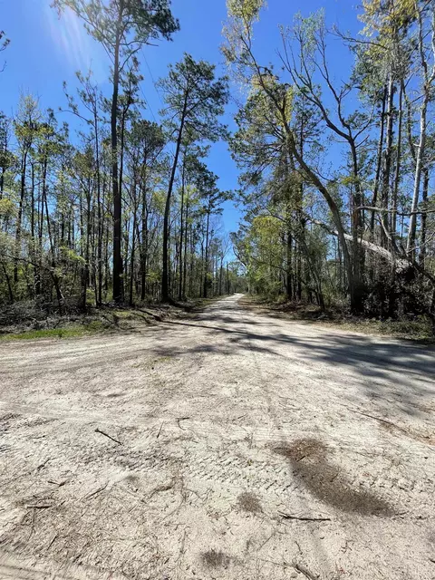 Vacant NE Chervil Drive, Lee, FL 32059 photo 5