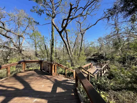 Vacant NE Chervil Drive, Lee, FL 32059 photo 19