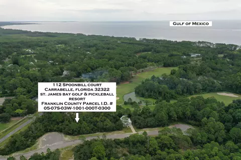 112 Spoonbill Ct, Carrabelle, FL 32322 photo 1