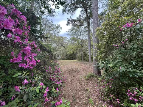 Buena Vista Drive, Tallahassee, FL 32304