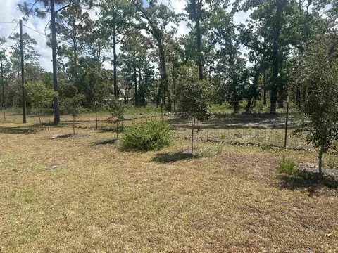 2255 White Oak Dr, Perry, FL 32348 photo 14