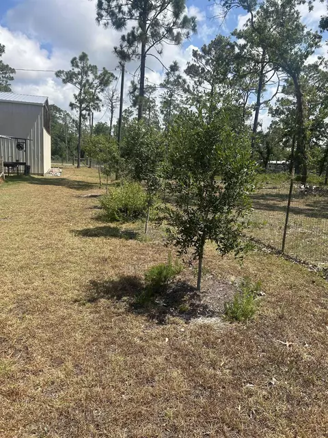 2255 White Oak Dr, Perry, FL 32348 photo 12