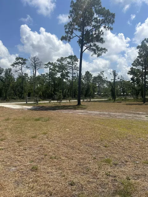 2255 White Oak Dr, Perry, FL 32348 photo 15