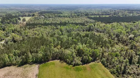 Vacant Attatulga Road, Lamont, FL 32336