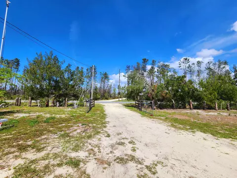 2439 Seameadows Dr, Perry, FL 32348 photo 40