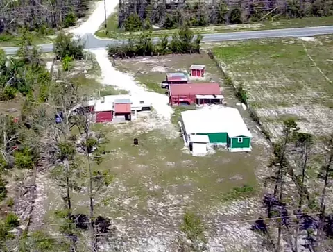 2439 Seameadows Dr, Perry, FL 32348 photo 5