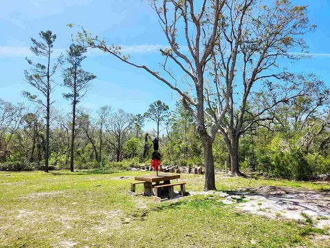 2439 Seameadows Dr, Perry, FL 32348 photo 39