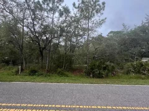 149 Levy Bay Rd, Panacea, FL 32346 photo 4