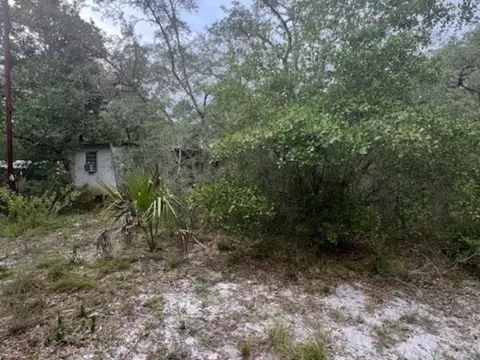 149 Levy Bay Rd, Panacea, FL 32346 photo 2