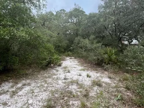 149 Levy Bay Rd, Panacea, FL 32346 photo 3