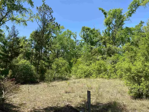 416 NE Hillside Ter, Lee, FL 32059