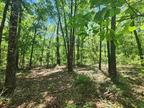 lot16 E Bear Hollow Trl, Greenville, FL 32331