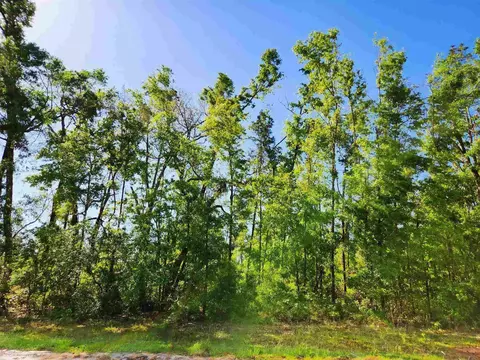 lot14 NW Champion Oak Blvd, Jennings, FL 32053