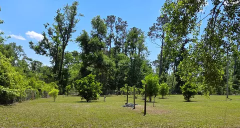Exterior - 423 NEmpress Tree Ave, Pinetta Madison County, FL 32350 photo 19 of 21