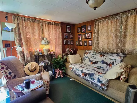 Living - 423 NEmpress Tree Ave, Pinetta Madison County, FL 32350 photo 3 of 4