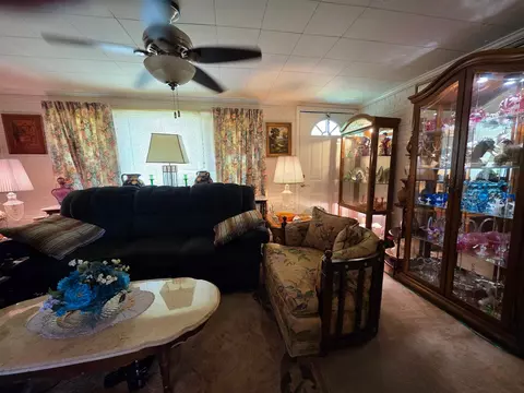 Living - 423 NEmpress Tree Ave, Pinetta Madison County, FL 32350 photo 1 of 4