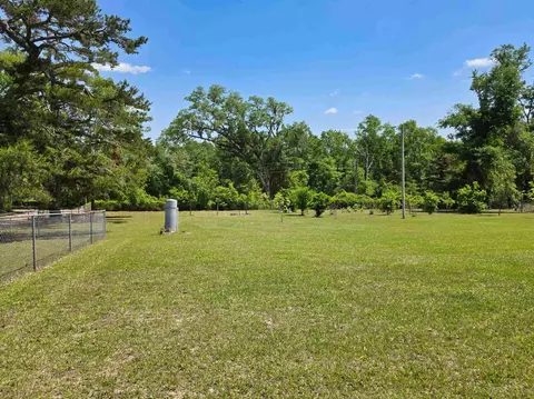Exterior - 423 NEmpress Tree Ave, Pinetta Madison County, FL 32350 photo 7 of 21