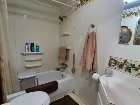 Bath - 423 NEmpress Tree Ave, Pinetta Madison County, FL 32350 photo 2 of 2