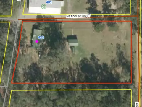 Other - 423 NEmpress Tree Ave, Pinetta Madison County, FL 32350 photo 3 of 3