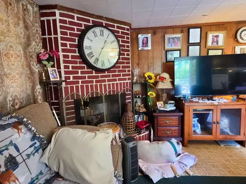 Living - 423 NEmpress Tree Ave, Pinetta Madison County, FL 32350 photo 4 of 4