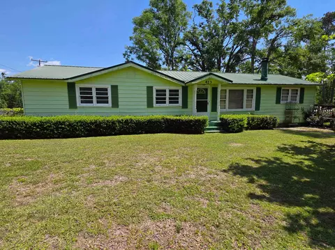 Exterior - 423 NEmpress Tree Ave, Pinetta Madison County, FL 32350 photo 9 of 21