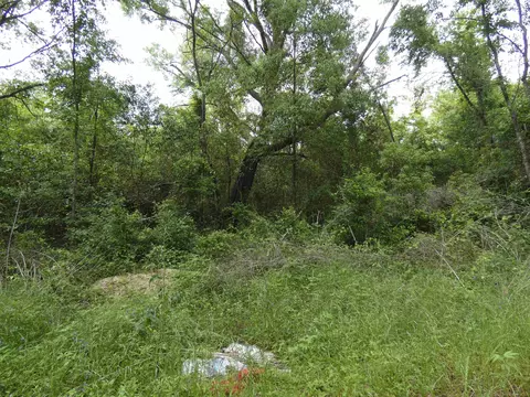 tbd Devane Rd, Monticello, FL 32344 photo 2