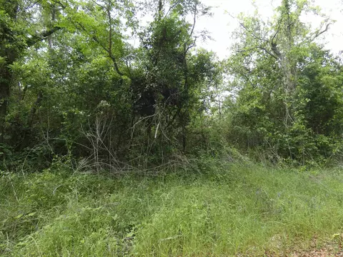 tbd Devane Rd, Monticello, FL 32344 photo 3