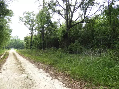 tbd Devane Rd, Monticello, FL 32344