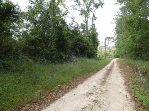tbd Devane Rd, Monticello, FL 32344 photo 4
