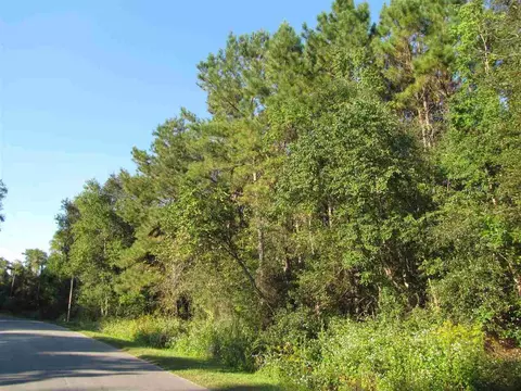 Nn Tram Southwest Road, Greenville, FL 32331