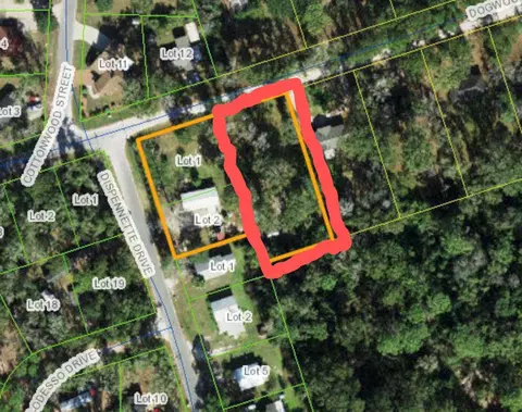 Nnn Dogwood Drive, Crawfordville, FL 32327