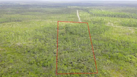 lot50 Circle Block Loop Loop, Perry, FL 32348 photo 2