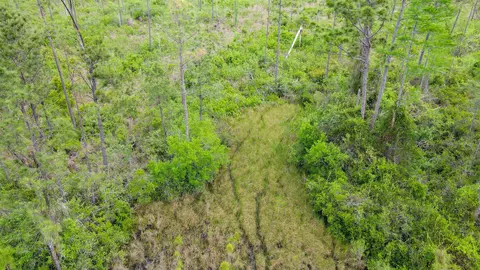 lot50 Circle Block Loop Loop, Perry, FL 32348 photo 12
