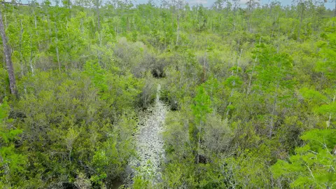 lot50 Circle Block Loop Loop, Perry, FL 32348 photo 4
