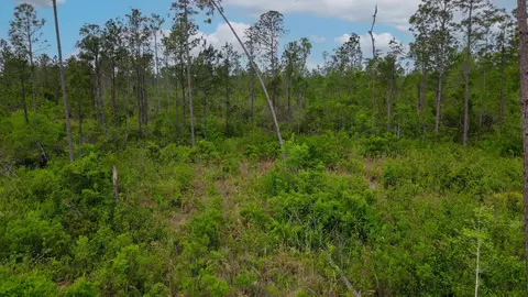 lot50 Circle Block Loop Loop, Perry, FL 32348 photo 8