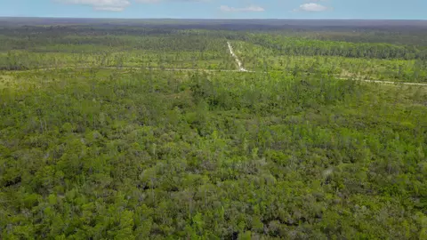 lot50 Circle Block Loop Loop, Perry, FL 32348 photo 13