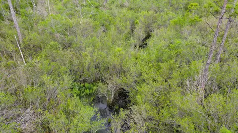 lot50 Circle Block Loop Loop, Perry, FL 32348 photo 14