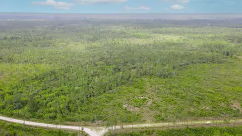 lot50 Circle Block Loop Loop, Perry, FL 32348 photo 16