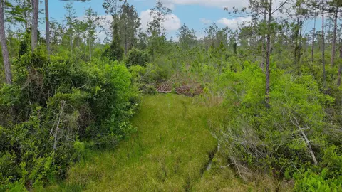 lot50 Circle Block Loop Loop, Perry, FL 32348 photo 9