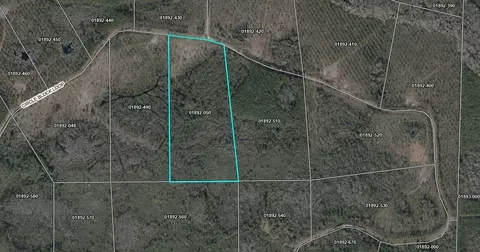 lot50 Circle Block Loop Loop, Perry, FL 32348 photo 18