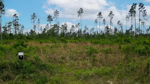 lot50 Circle Block Loop Loop, Perry, FL 32348 photo 5