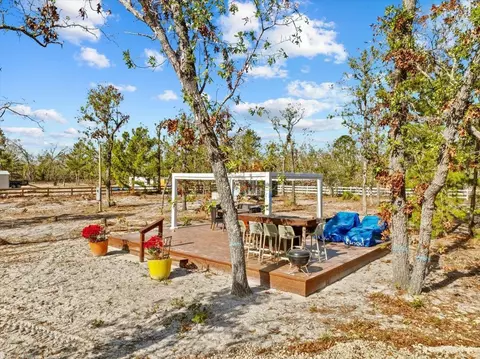 131 Leslie Ln, Keaton Beach, FL 32348 photo 4