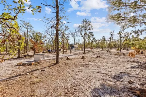 131 Leslie Ln, Keaton Beach, FL 32348 photo 9