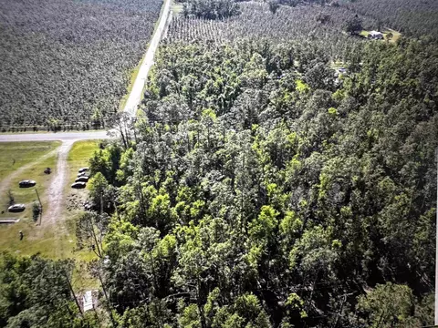 000 SE Apache Ave, Lee, FL 32059 photo 4