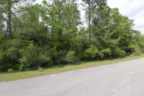 lot41 Burnt Pine Loop, Saint Marks, FL 32355 photo 3