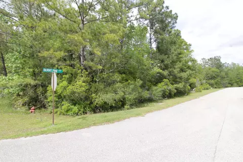 lot41 Burnt Pine Loop, Saint Marks, FL 32355 photo 2
